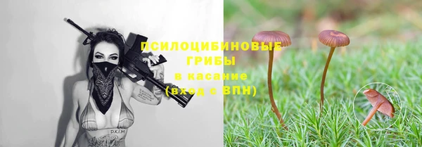 а пвп мука Абаза
