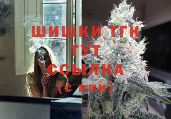 шишки Абинск