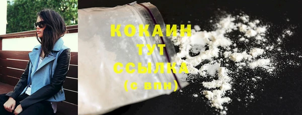 шишки Абинск