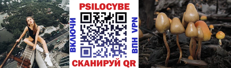 наркотики  shop клад  Псилоцибиновые грибы прущие грибы  Суздаль 